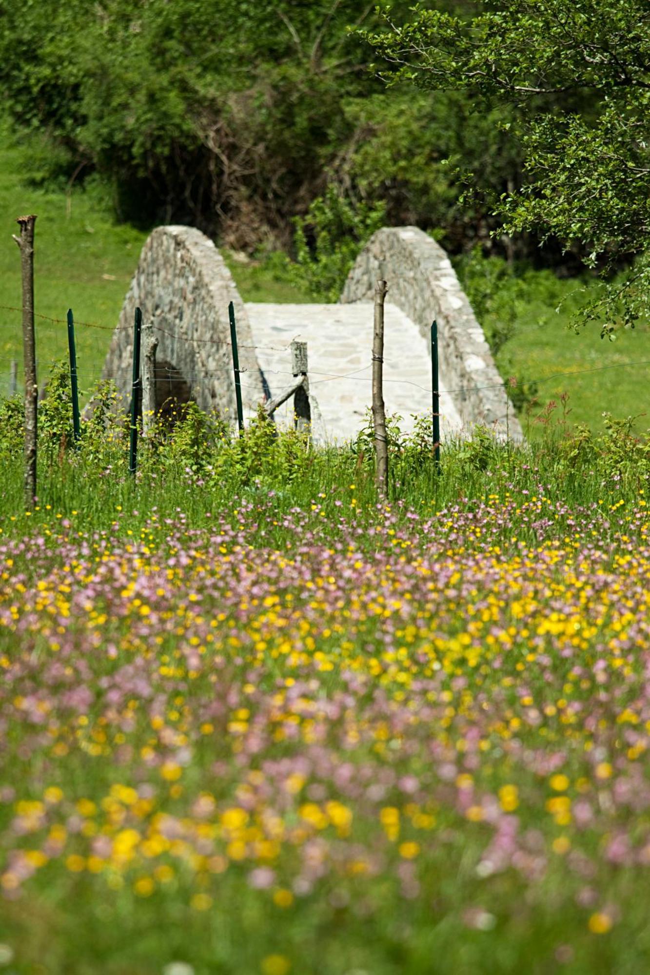 Mulino Marghen - Restored Watermill - Accomodation And Retreat Center 제리 외부 사진